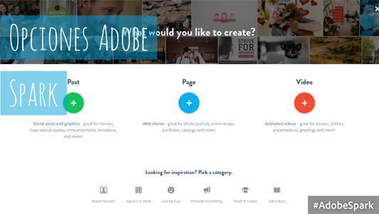 Adobe-Spark-1
