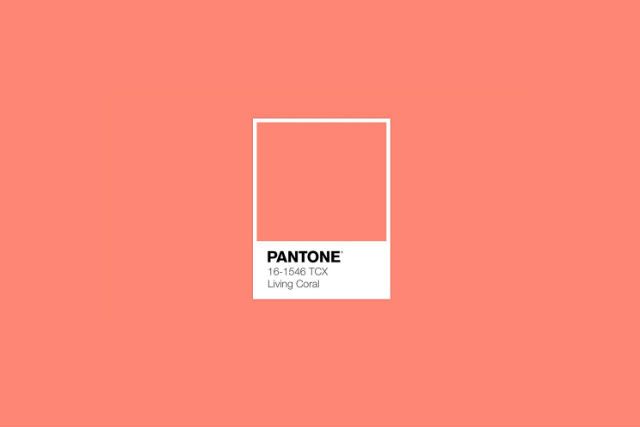 Living coral color pantone 2019